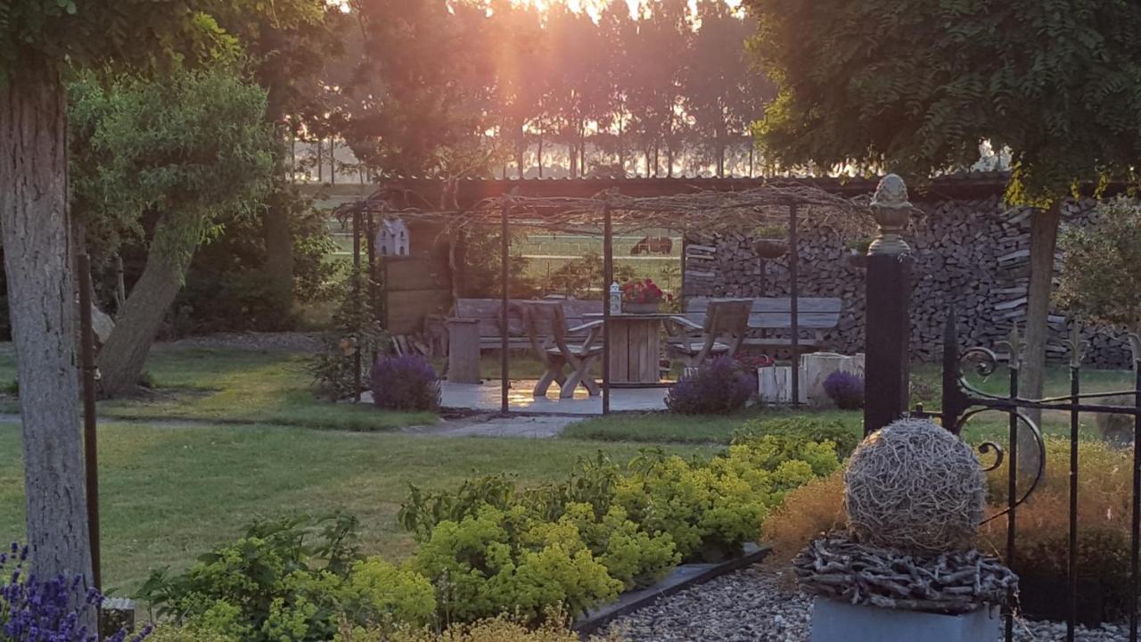Bed & Breakfast De Kienstee Schoondijke Exterior photo